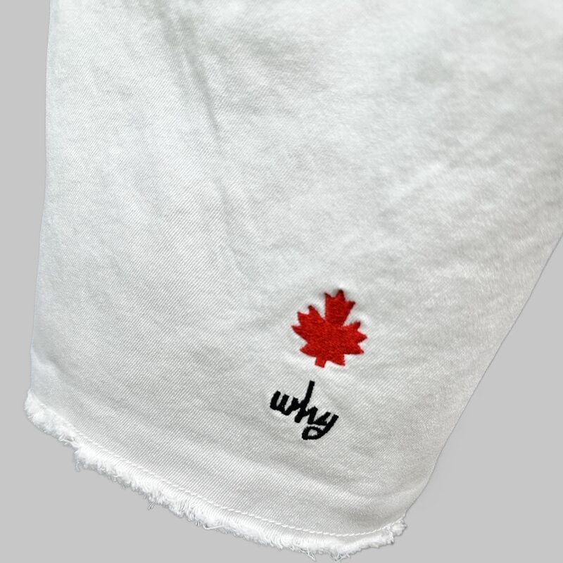 2025 D2 New Men'sShorts